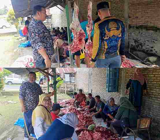 img_1749349363375_1_11zon