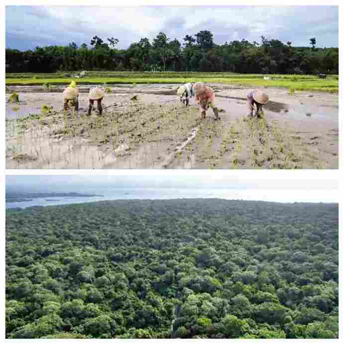 WhatsApp Image 2025-10-31 at 05.00.34_11zon