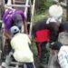 Program P3TGAI Mensejahterakan Ekonomi Petani Agara