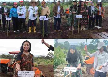 Investasi Rp200–300 Miliar Masuk Dairi, NT Corp Group Kembangkan Kebun dan Pabrik Kopi di Parbuluan
