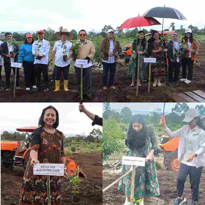 Investasi Rp200–300 Miliar Masuk Dairi, NT Corp Group Kembangkan Kebun dan Pabrik Kopi di Parbuluan