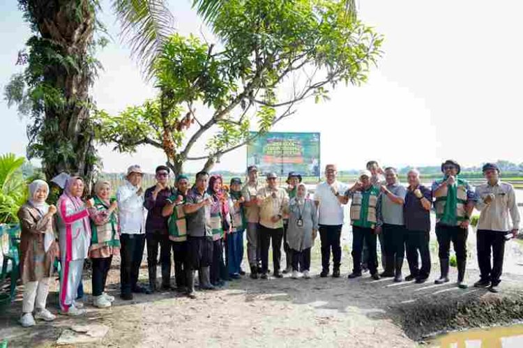 Ikuti Gerakan Tanam Serempak 50.000 Hektare, Bupati Baharuddin Dorong Produktivitas dan Kesejahteraan Petani