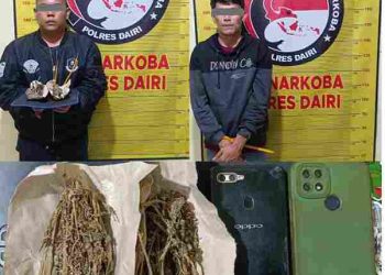 Kurir dan Pengedar Ganja di Bintang Mersada Dibekuk Polres Dairi, Barang Bukti 18,05 Gram