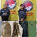 Kurir dan Pengedar Ganja di Bintang Mersada Dibekuk Polres Dairi, Barang Bukti 18,05 Gram