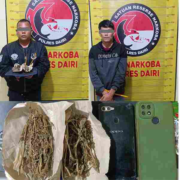 Kurir dan Pengedar Ganja di Bintang Mersada Dibekuk Polres Dairi, Barang Bukti 18,05 Gram