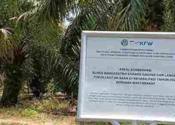 Kawasan Suaka Margasatwa Karang Gading Dirambah: Tajam ke ‘Eksekutor’, Menagih Keberanian Menyentuh ‘Aktor Intelektual’