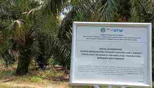 Kawasan Suaka Margasatwa Karang Gading Dirambah: Tajam ke ‘Eksekutor’, Menagih Keberanian Menyentuh ‘Aktor Intelektual’