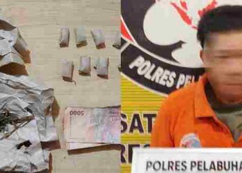 Taji Sat Narkoba Polres Pelabuhan Belawan Pengedar Ganja Hamparan Perak Dibongkar Hingga Akar