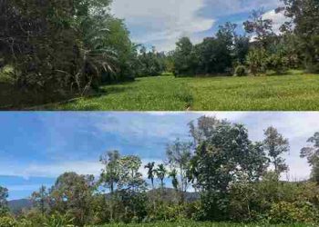 Benarkah Air Terancam?, Warga Tiga Desa Sebut Kebutuhan Air Masih Terpenuhi, Petani Masih Optimal