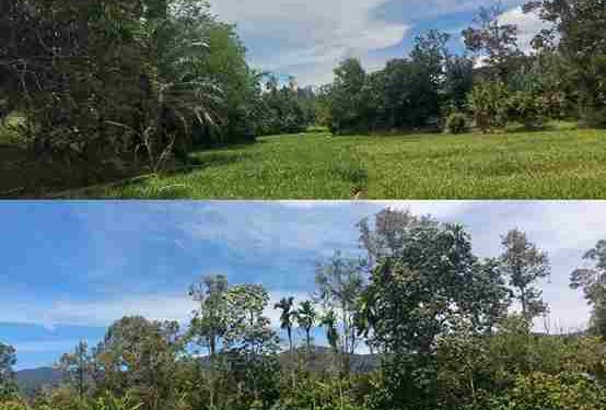 Benarkah Air Terancam?, Warga Tiga Desa Sebut Kebutuhan Air Masih Terpenuhi, Petani Masih Optimal