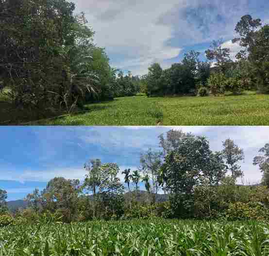 Benarkah Air Terancam?, Warga Tiga Desa Sebut Kebutuhan Air Masih Terpenuhi, Petani Masih Optimal