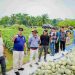 Bupati Batu Bara Panen Melon di Air Putih, Dorong Pengembangan Hortikultura dan Dukung Program MBG