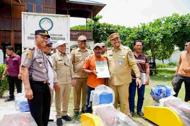 Dukung Swasembada Pangan Bupati Batu Bara Ikut Panen Padi dan Salurkan Bantuan Pertanian