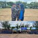 Kodaeral I Eskalasi Resiliensi dan Jiwa Bahari 100 Kadet Muda Dalam Persami KKRI Lhokseumawe
