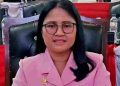 Anggota DPRD Medan Sambut Baik Dirjen KKP Program Pembangunan KNMP di Medan Labuhan