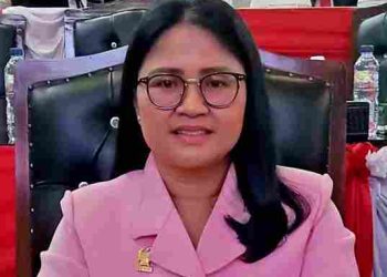 Anggota DPRD Medan Sambut Baik Dirjen KKP Program Pembangunan KNMP di Medan Labuhan