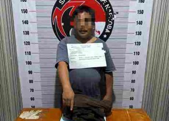 Pengedar Sabu di Kelurahan Balige III Ngamuk Bawa Cangkul Saat Rumahnya di Grebek Polisi