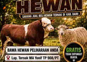 Gratis, Yonif TP 908/Pertaki Gelar Pekan Raya Ternak di Sidikalang, Terbuka bagi Peternak dari Dalam dan Luar Dairi
