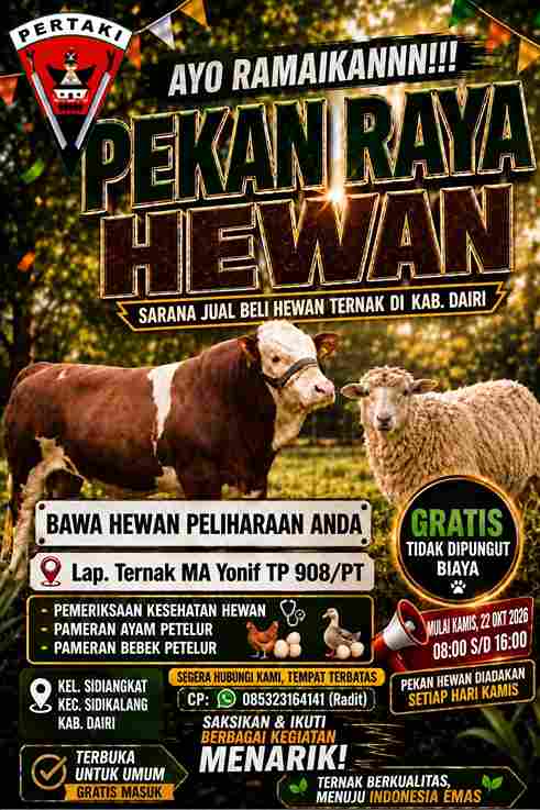 Gratis, Yonif TP 908/Pertaki Gelar Pekan Raya Ternak di Sidikalang, Terbuka bagi Peternak dari Dalam dan Luar Dairi
