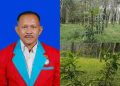 Kebun PTPN IV Tanah Raja Disorot, Sawit Dipenuhi Ilalang dan Karet Ditumbuhi Anak Kayu Liar
