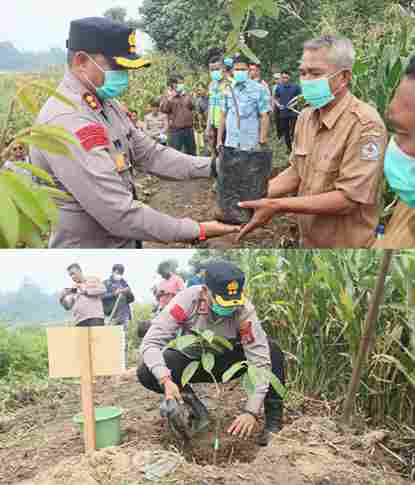 Kapolres Toba Menanam Harapan, Bukan Sekadar Pohon